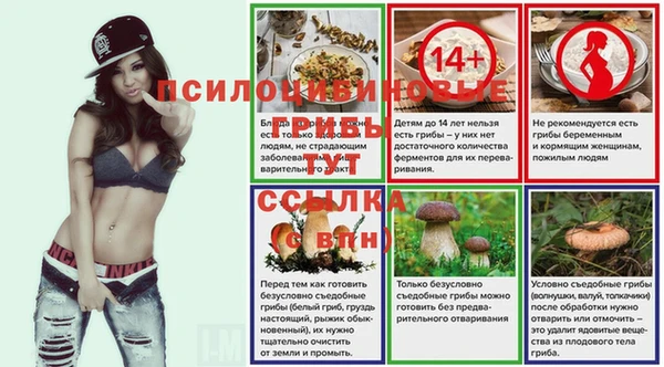 ешки Волосово
