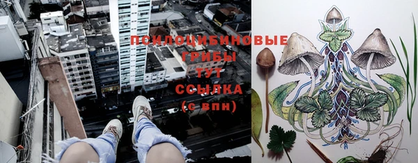 ешки Волосово