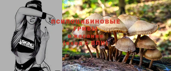 ешки Волосово
