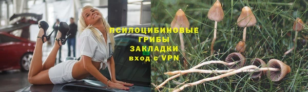 ешки Волосово