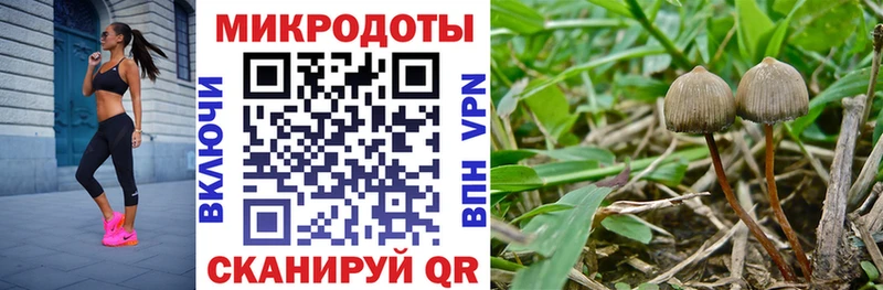 Псилоцибиновые грибы GOLDEN TEACHER  Купить где  Верещагино 